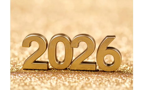 BONNE FETE DE ST SYLVESTRE